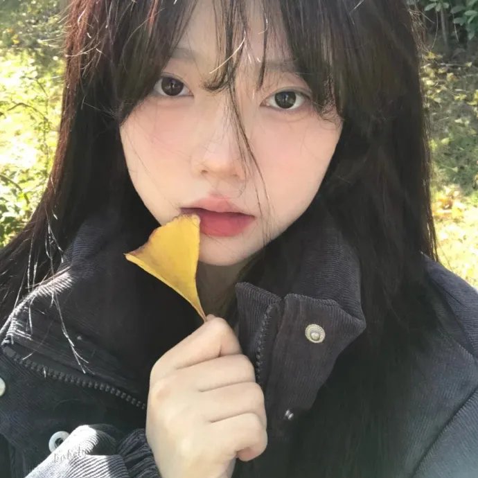 当家小娘子